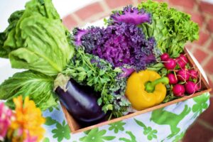 Vegan Sports Nutrition For Women